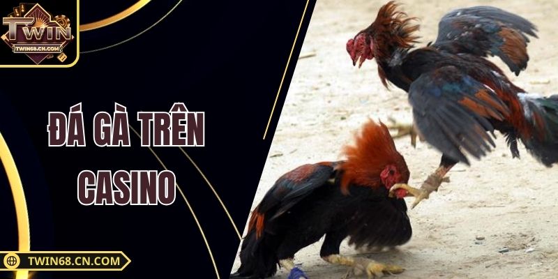 Đá Gà Trên Casino - Trải Nghiệm Giải Trí Thú Vị Cho Bạn